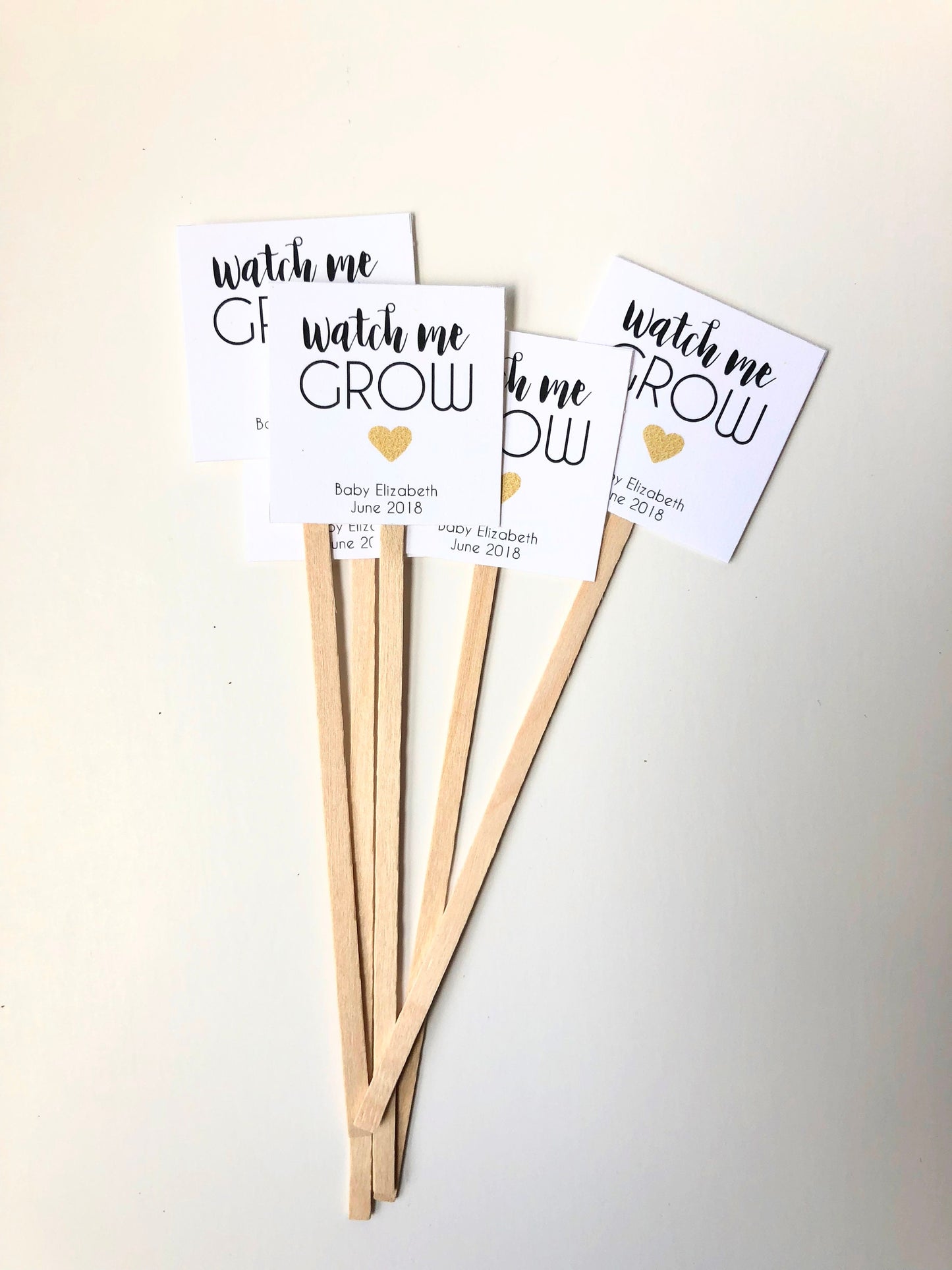 "Watch Me Grow" Plant Favor Stick for Mini Succulents - Ideal Baby Shower Favor