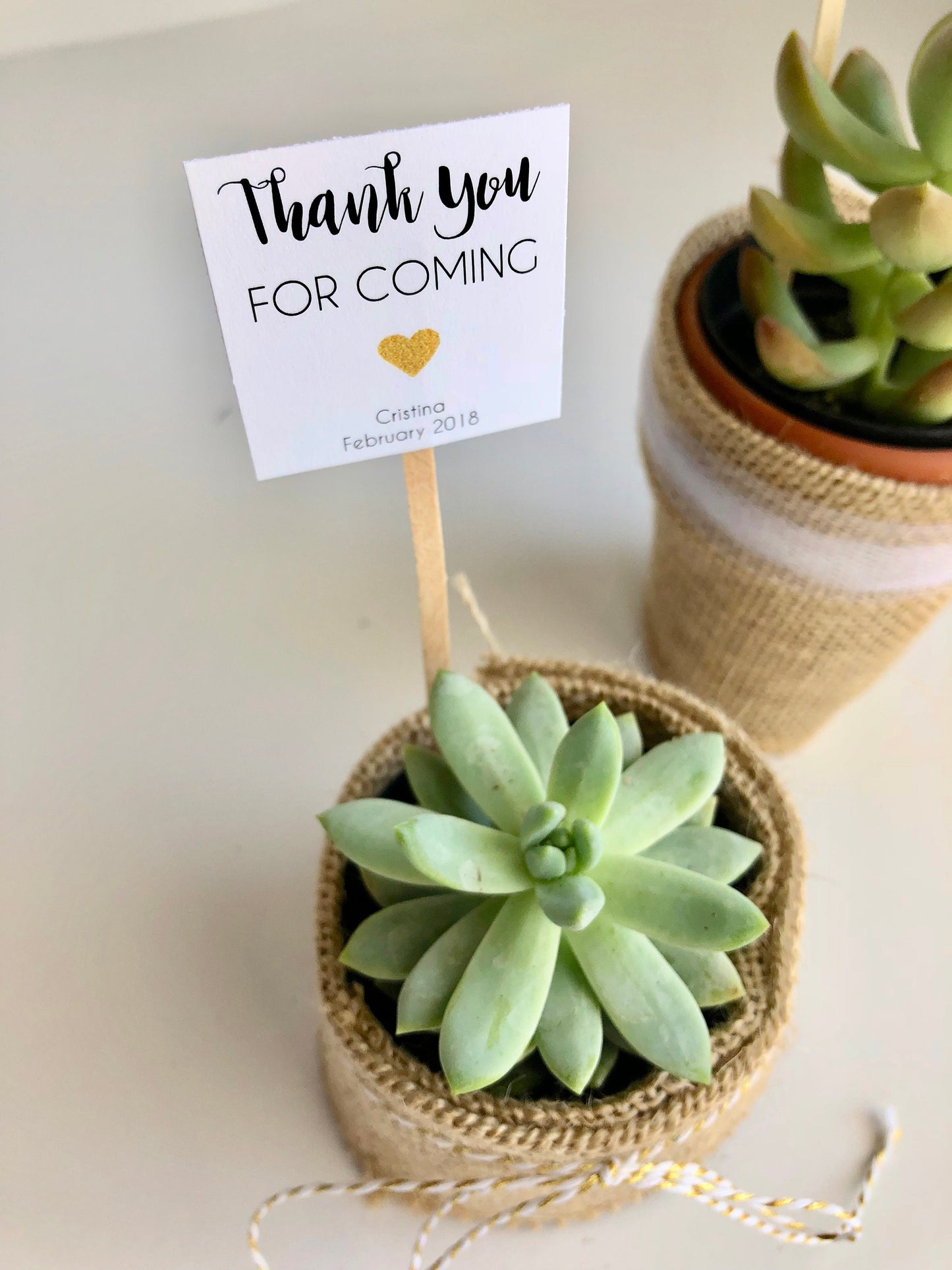 Succulent Plant Thank You Favor Stick - Gratitude in Bloom