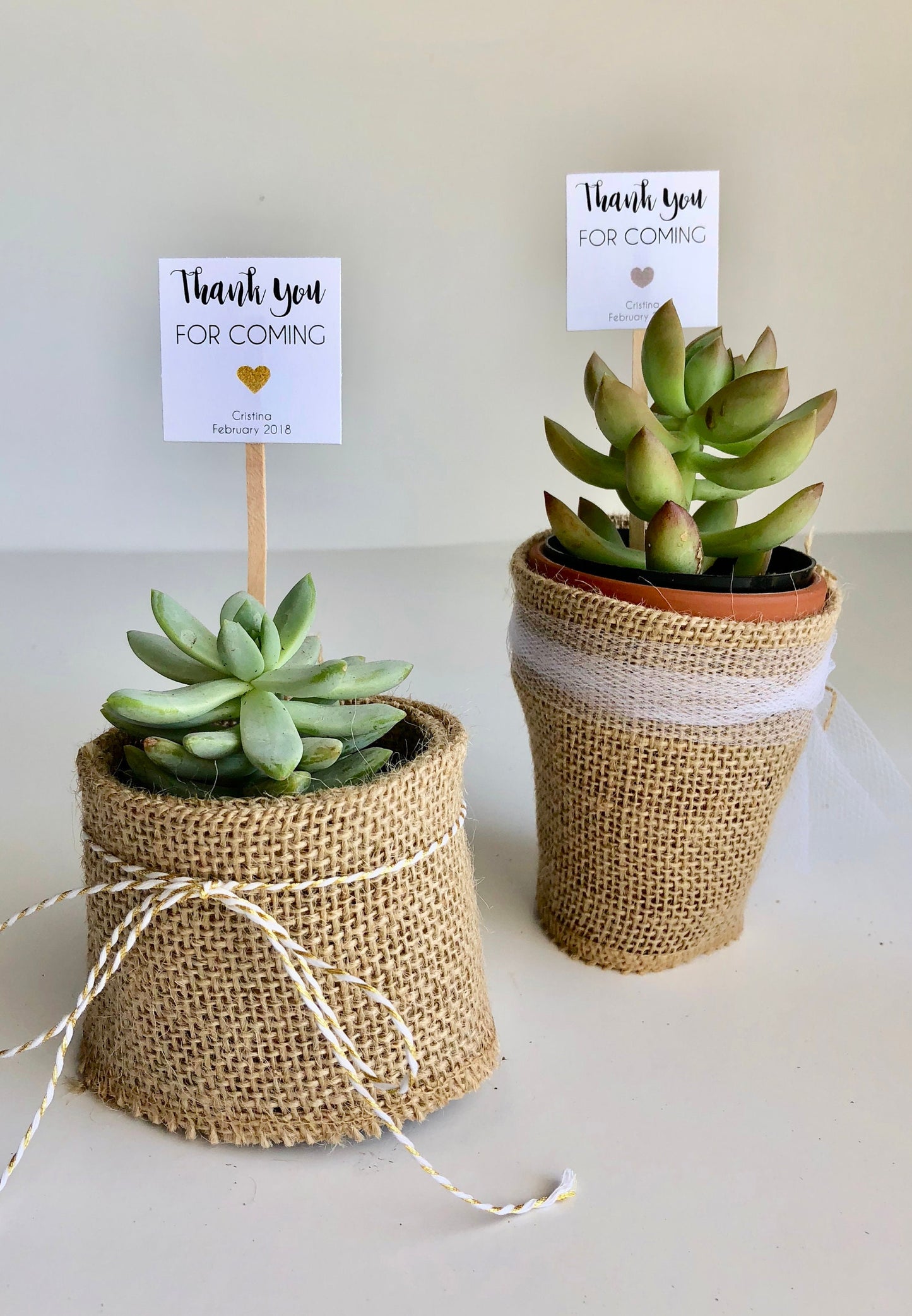 Succulent Plant Thank You Favor Stick - Gratitude in Bloom