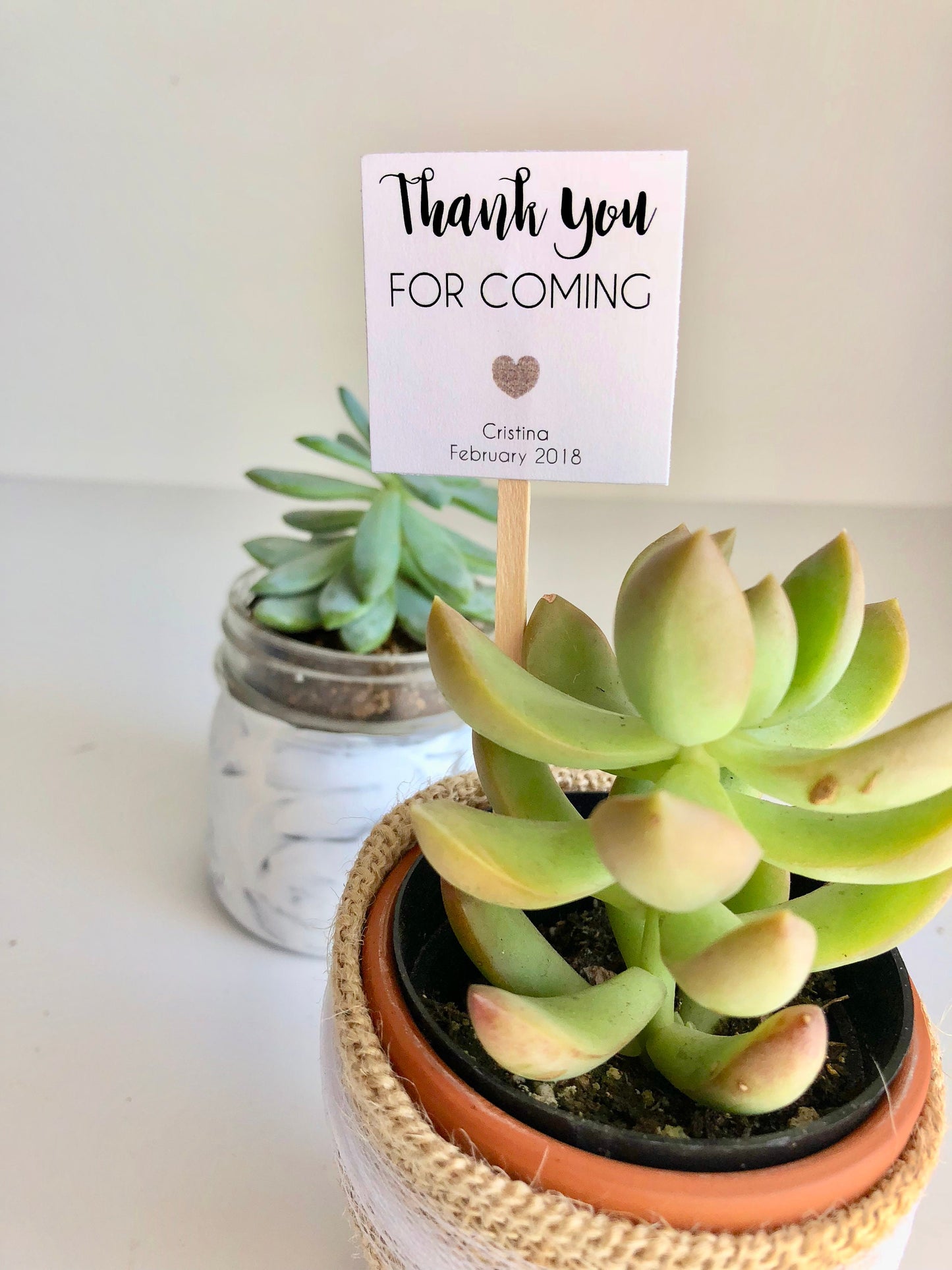 Succulent Plant Thank You Favor Stick - Gratitude in Bloom