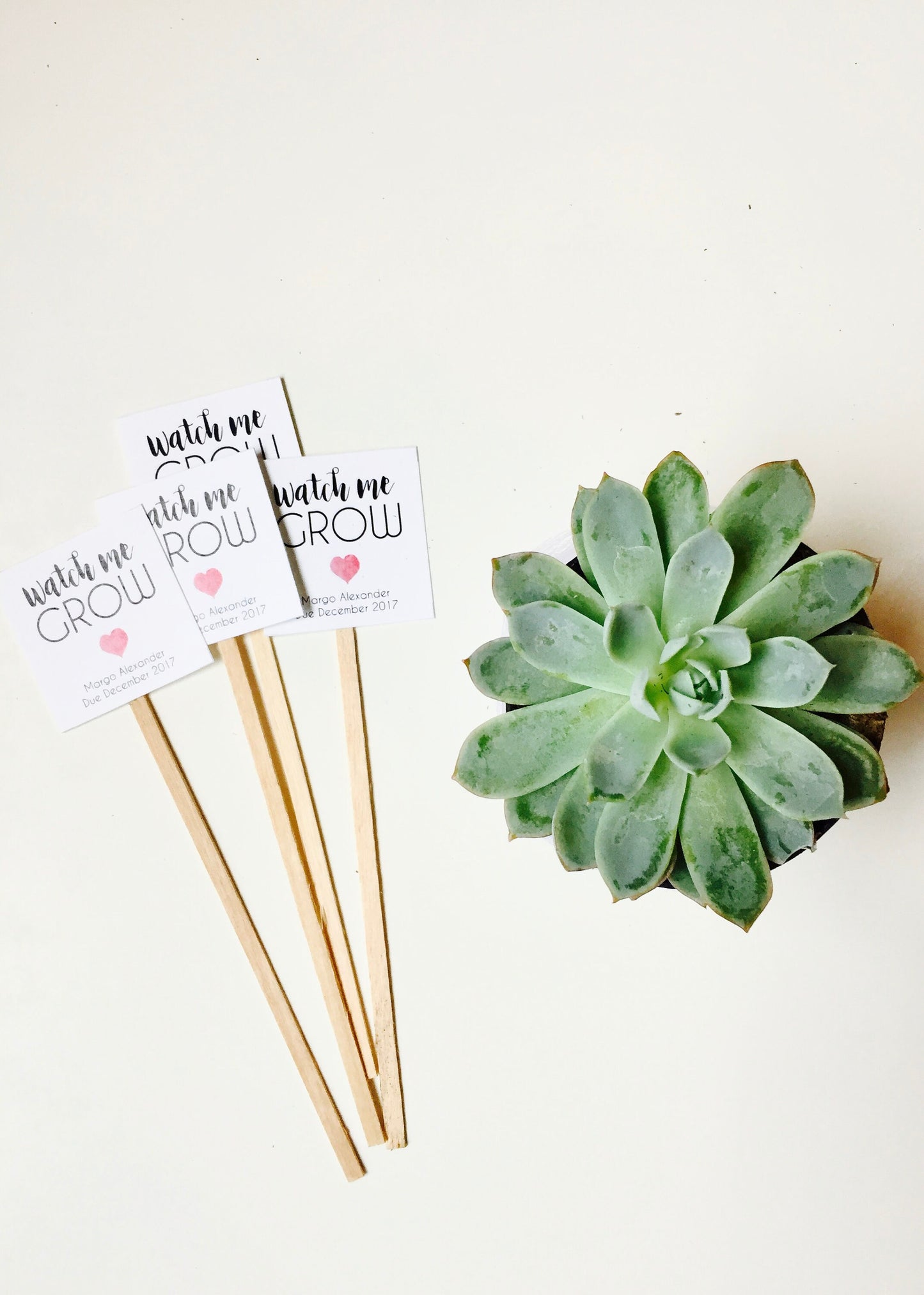 Baby Shower Favor Sticks for mini succulents - Personalized Succulent Favors