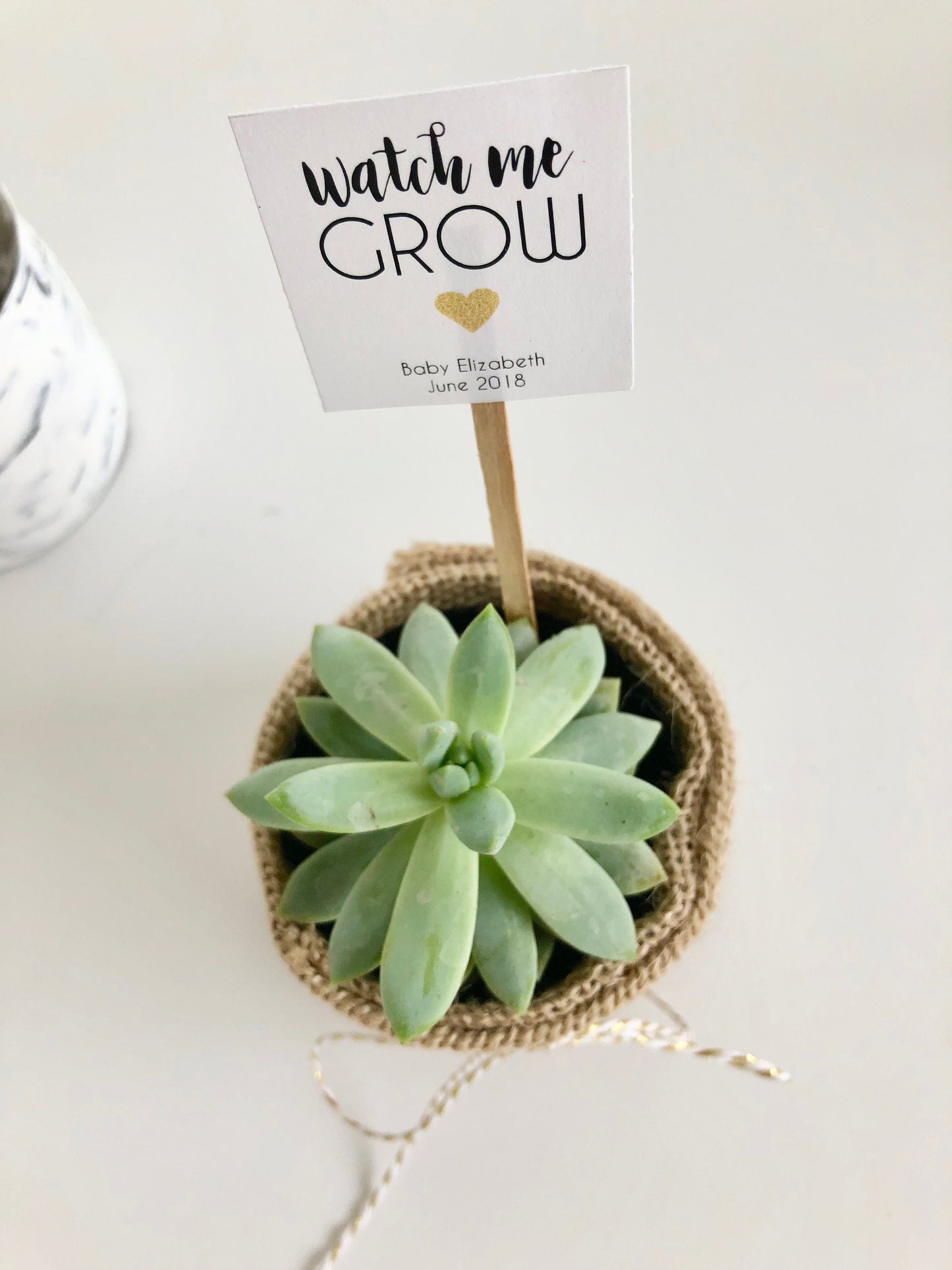 "Watch Me Grow" Plant Favor Stick for Mini Succulents - Ideal Baby Shower Favor