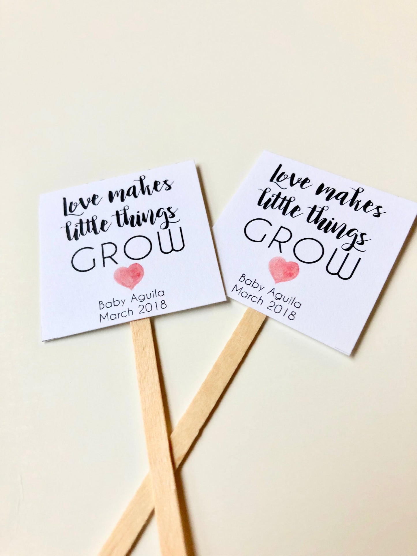 Succulent Plant Baby Shower Favor Insert - Love Makes Little Things Grow