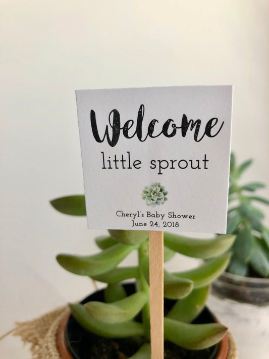 Customizable Plant Stick for Mini Succulents - Ideal Party Favor for Baby Showers, Bridal Showers, and Special Events