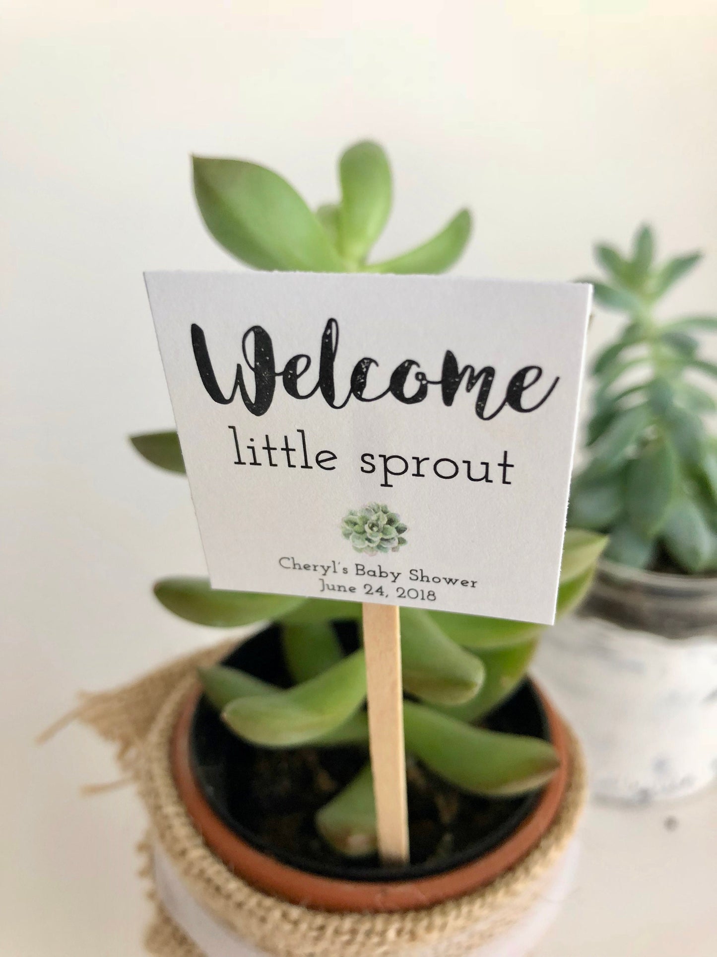 Customizable Plant Stick for Mini Succulents - Ideal Party Favor for Baby Showers, Bridal Showers, and Special Events