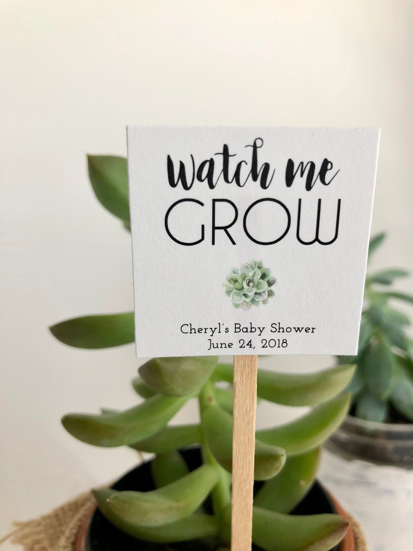 Baby Shower Favor Sticks for mini succulents - Personalized Succulent Favors