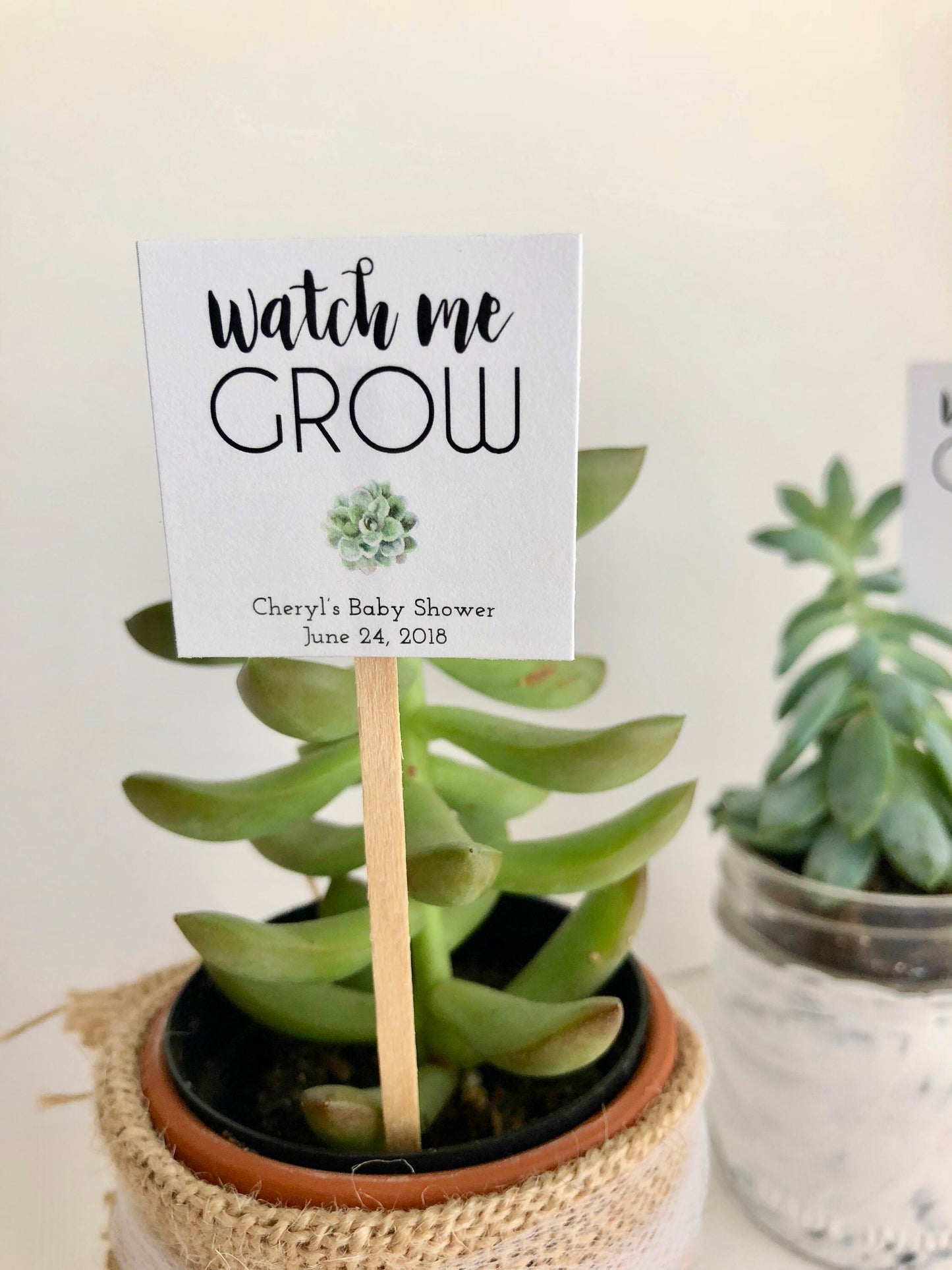 Baby Shower Favor Sticks for mini succulents - Personalized Succulent Favors