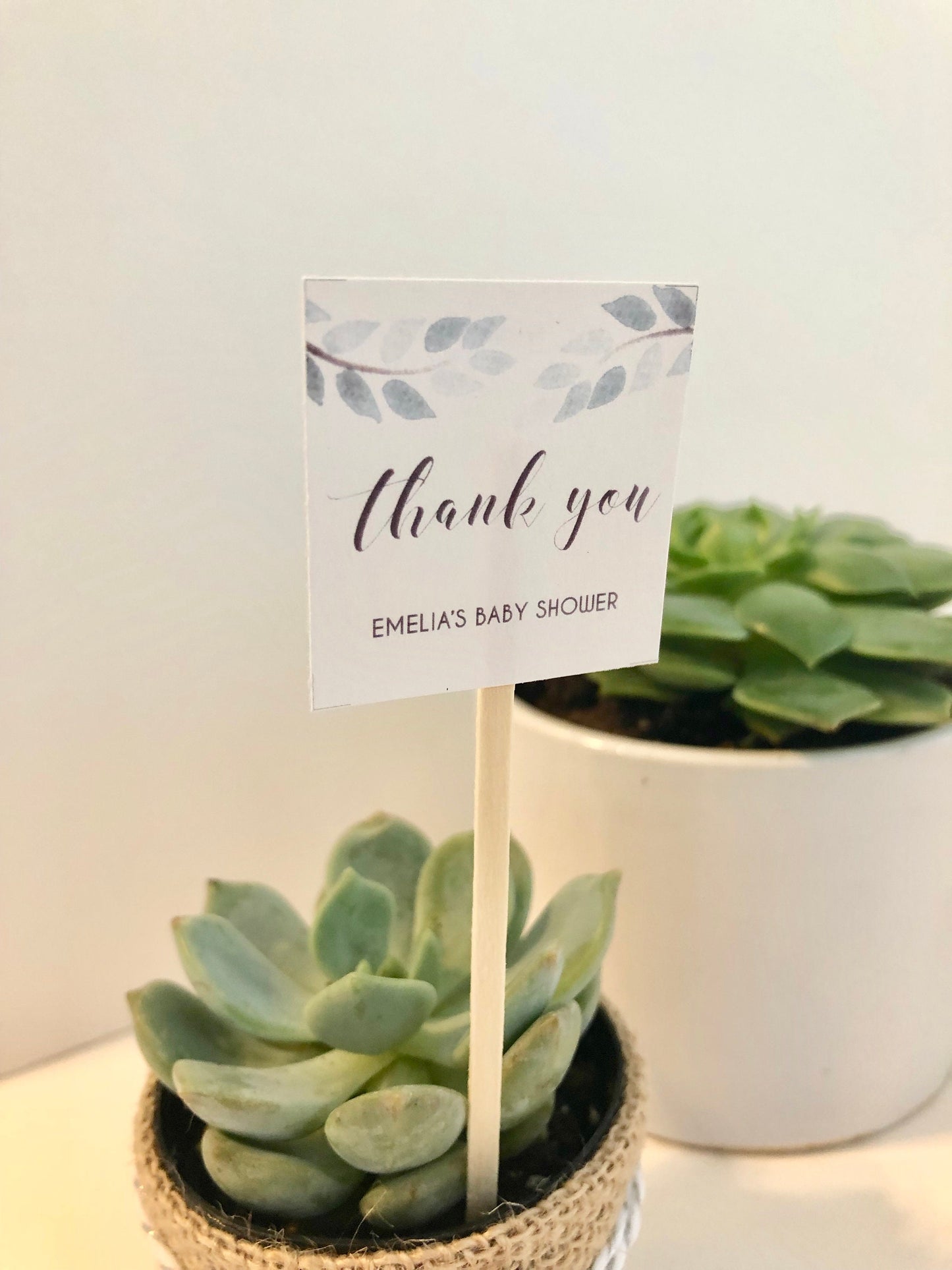 Succulent Plant Thank You Favor Stick - Express Gratitude with Style