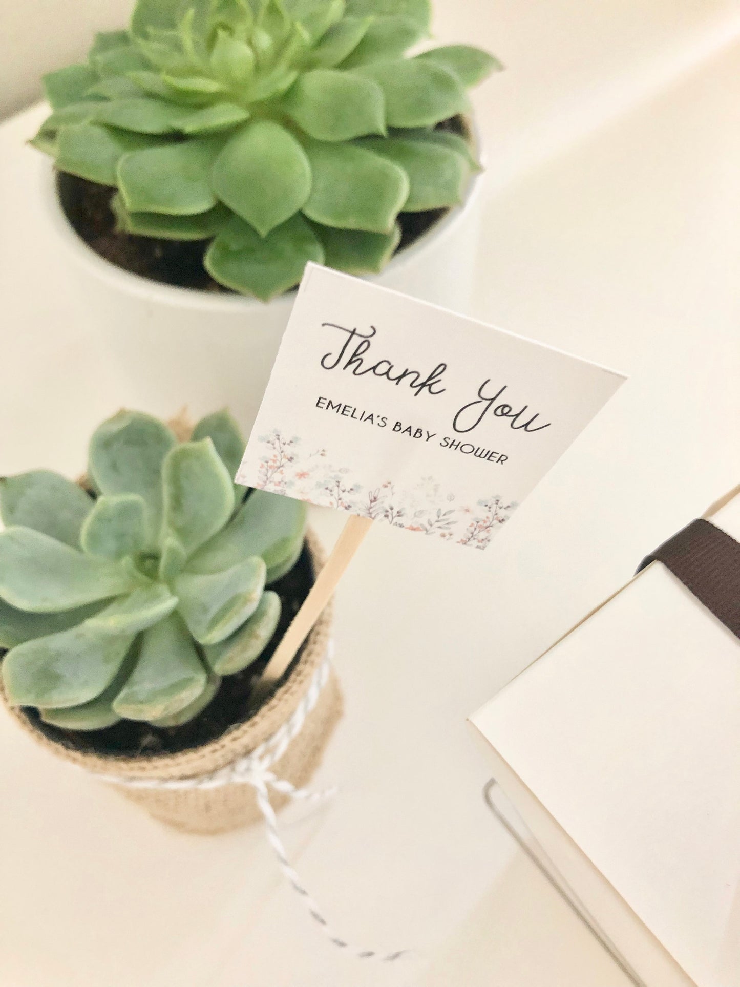 Succulent Plant Thank You Favor Stick - Express Gratitude with Style