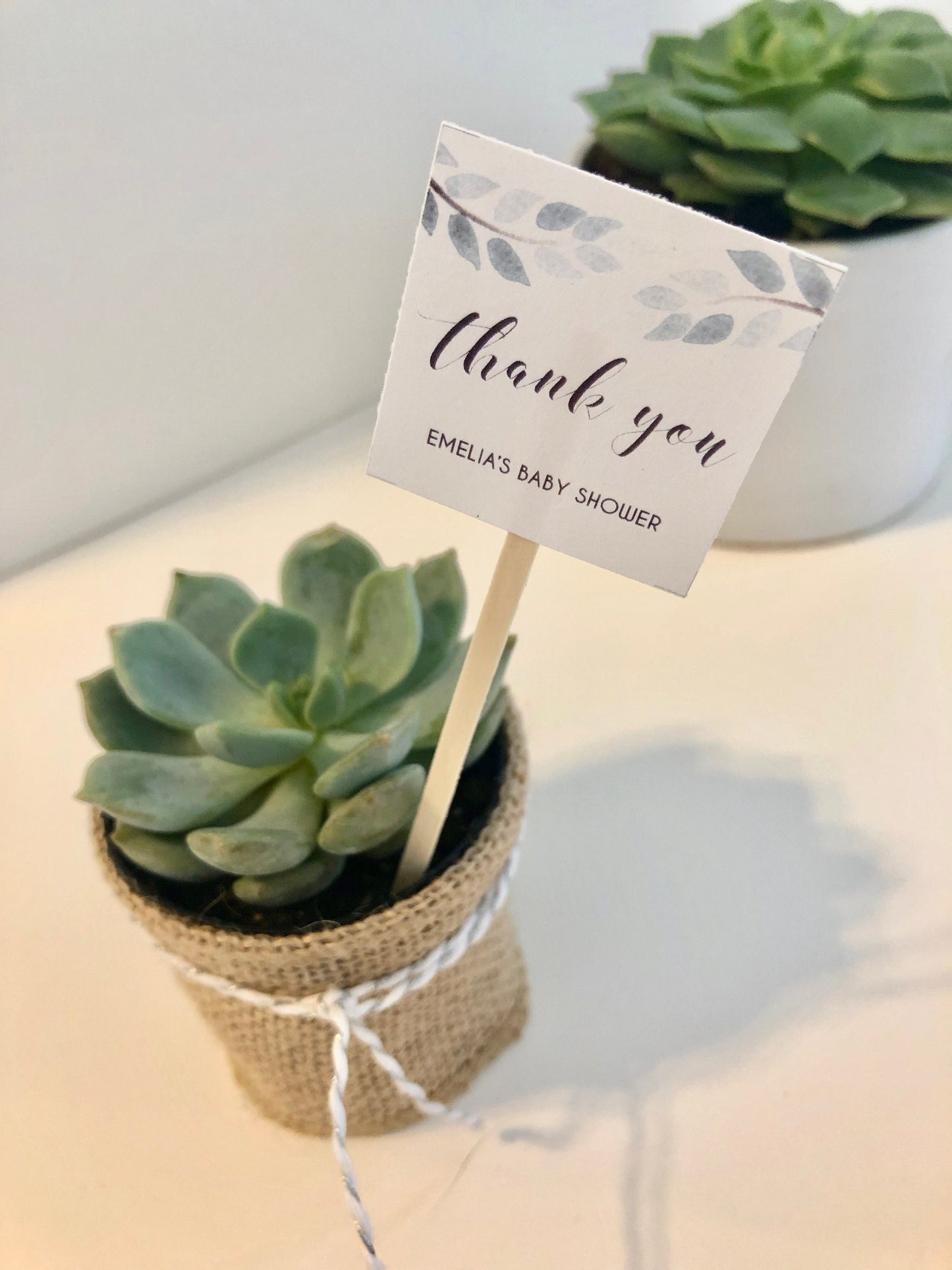 Succulent Plant Thank You Favor Stick - Express Gratitude with Style