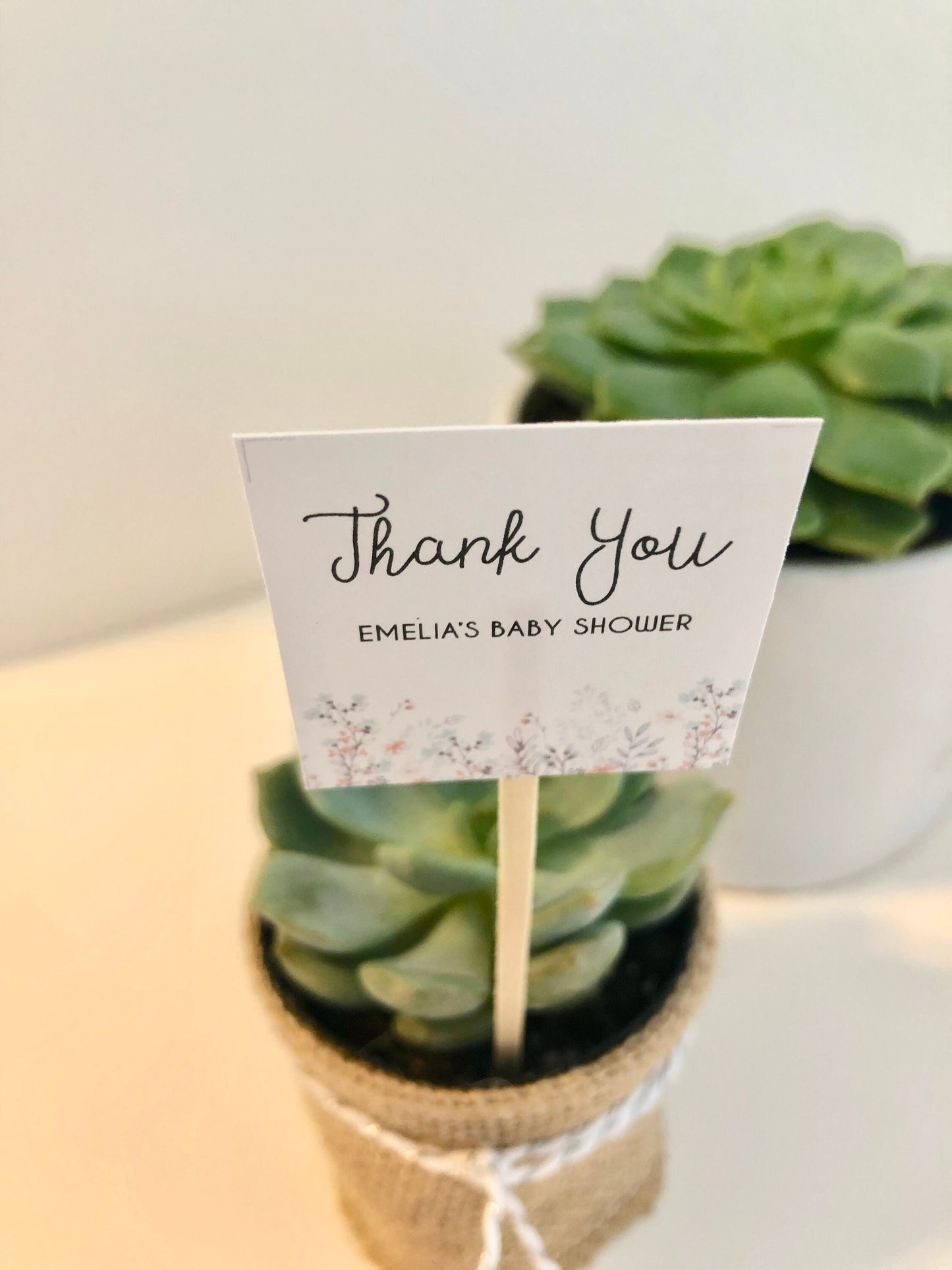 Succulent Plant Thank You Favor Stick - Express Gratitude with Style