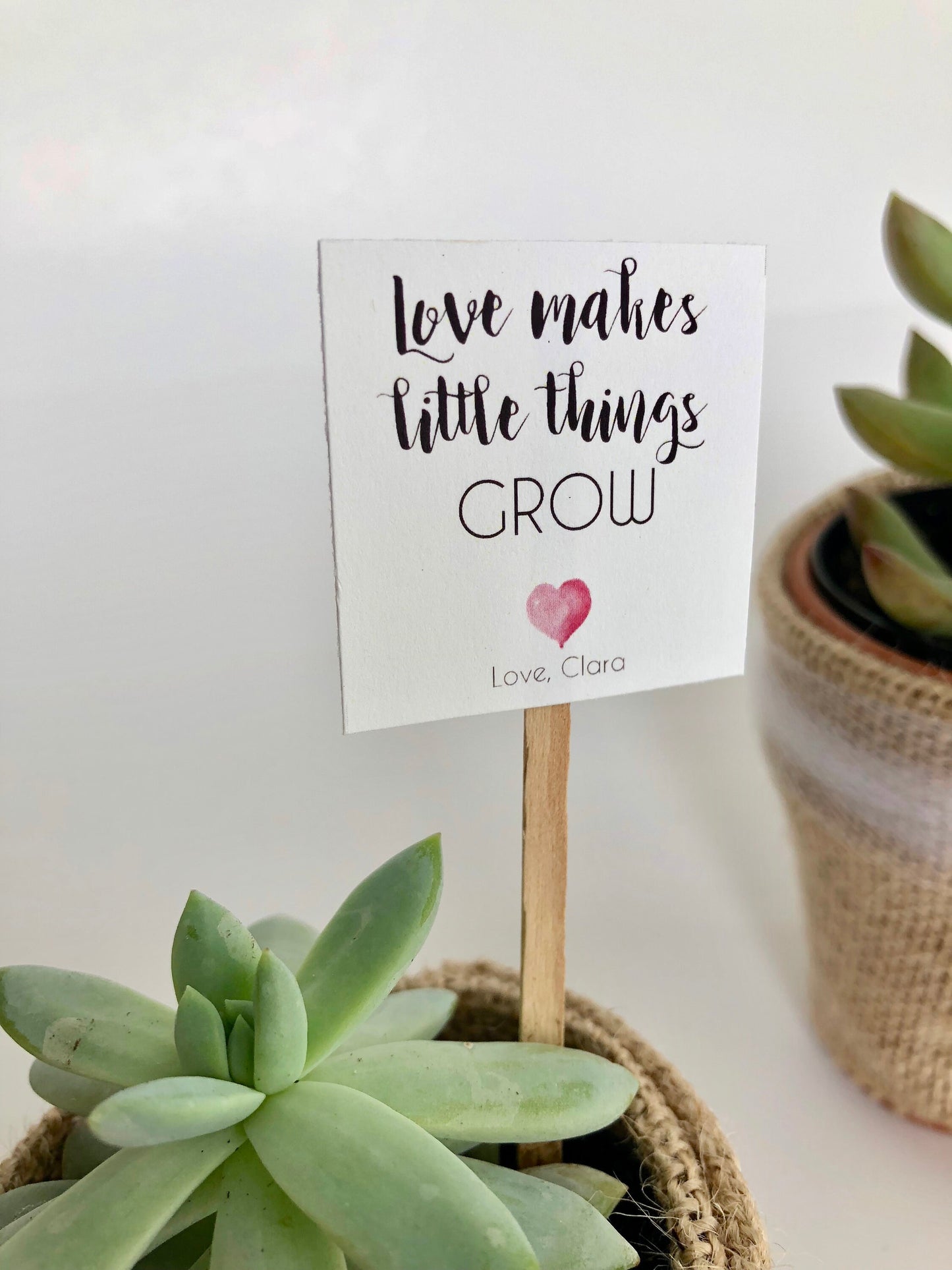 Succulent Plant Baby Shower Favor Insert - Love Makes Little Things Grow