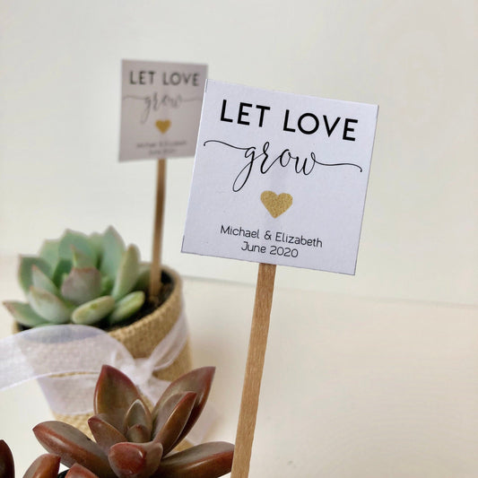 Succulent Plant Wedding Favor Insert - Let Love Grow