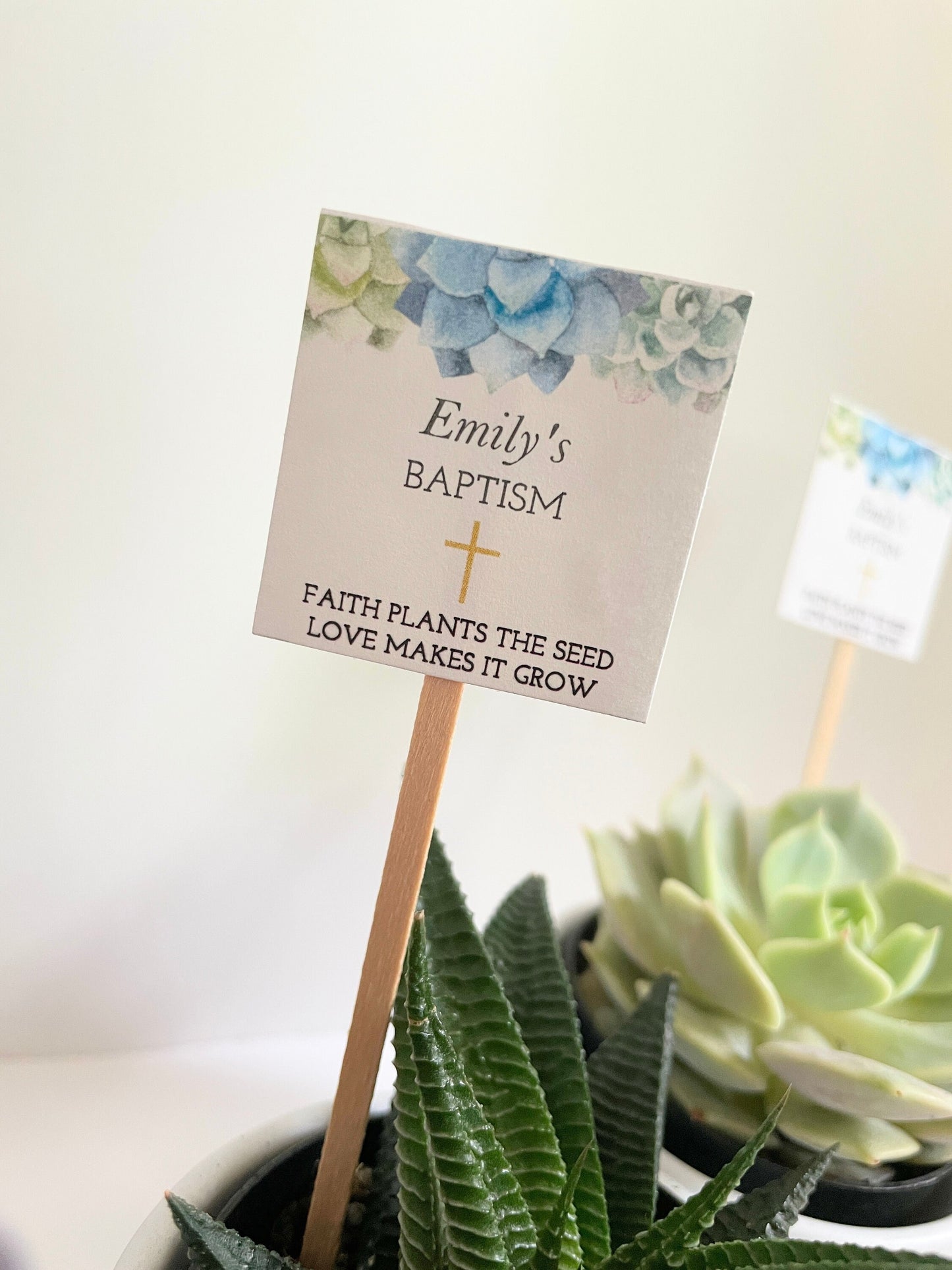 Baptism Mini Succulent with Plant Stick - Unique Party Favor for Baptisms and Special Events