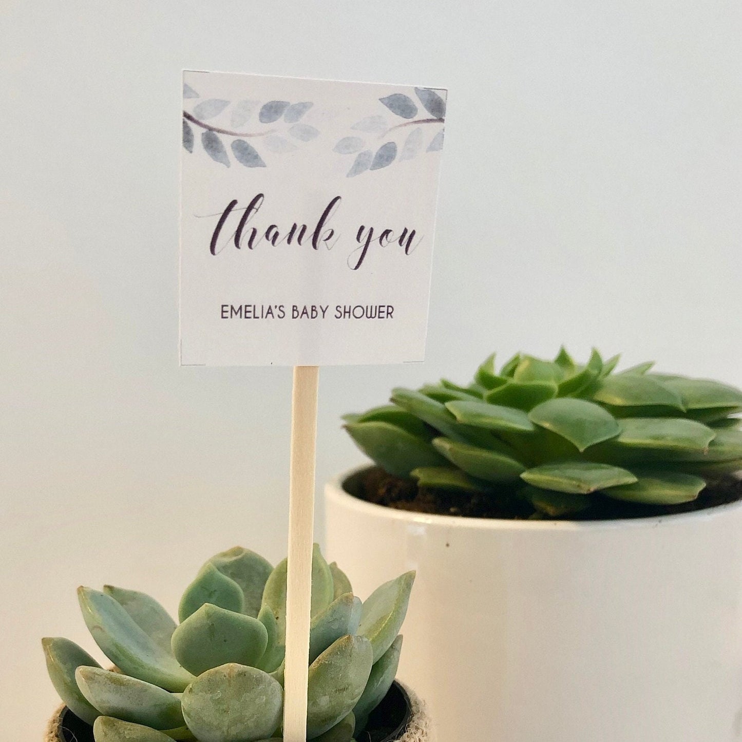 Succulent Plant Thank You Favor Stick - Express Gratitude with Style