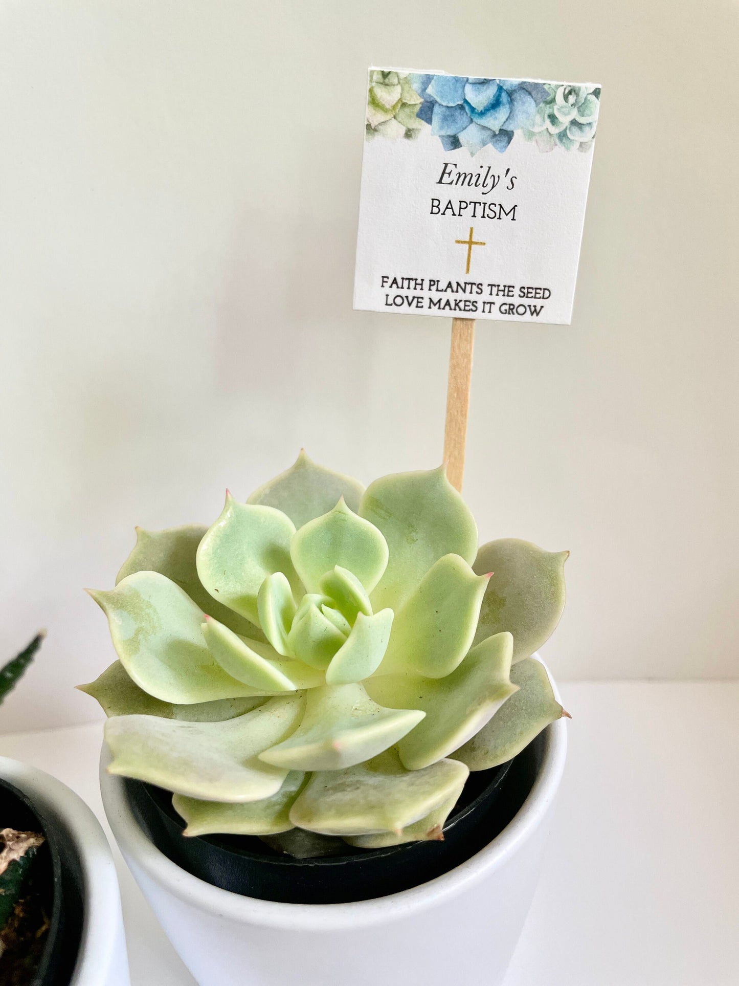 Baptism Mini Succulent with Plant Stick - Unique Party Favor for Baptisms and Special Events