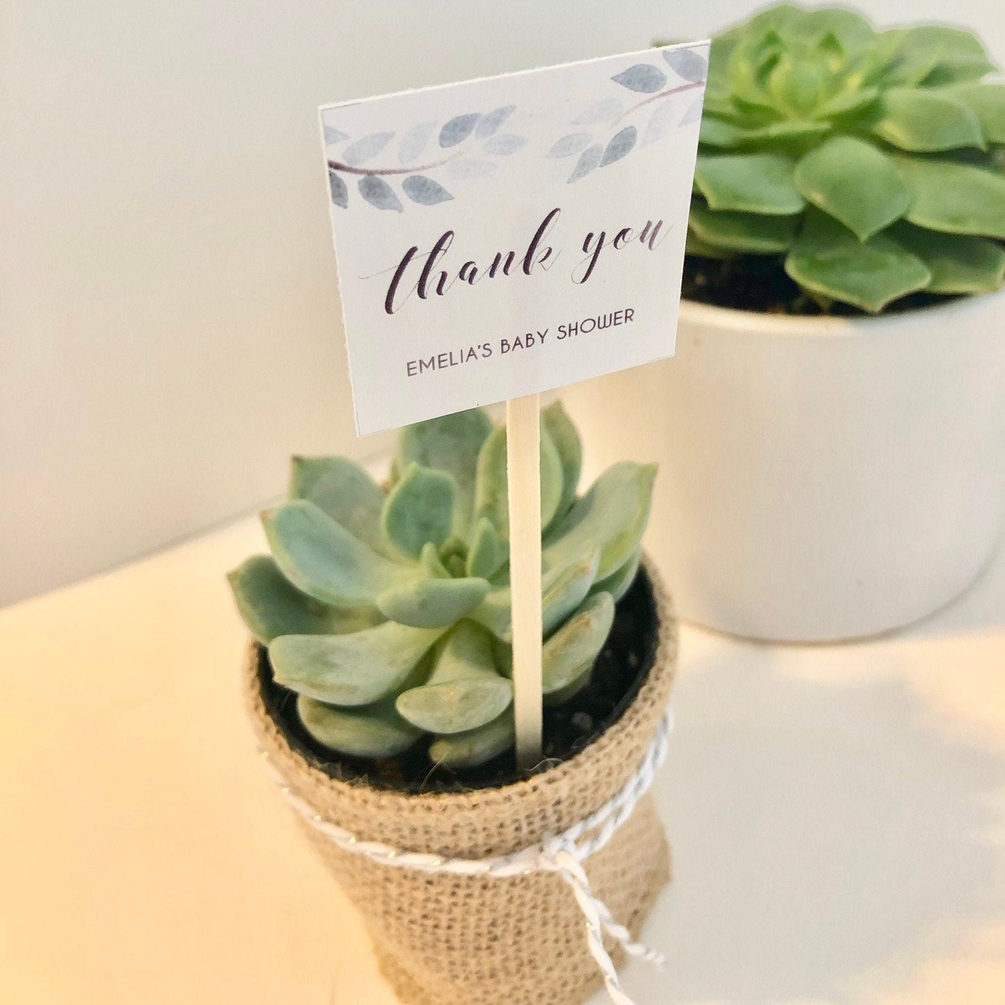 Succulent Plant Thank You Favor Stick - Express Gratitude with Style