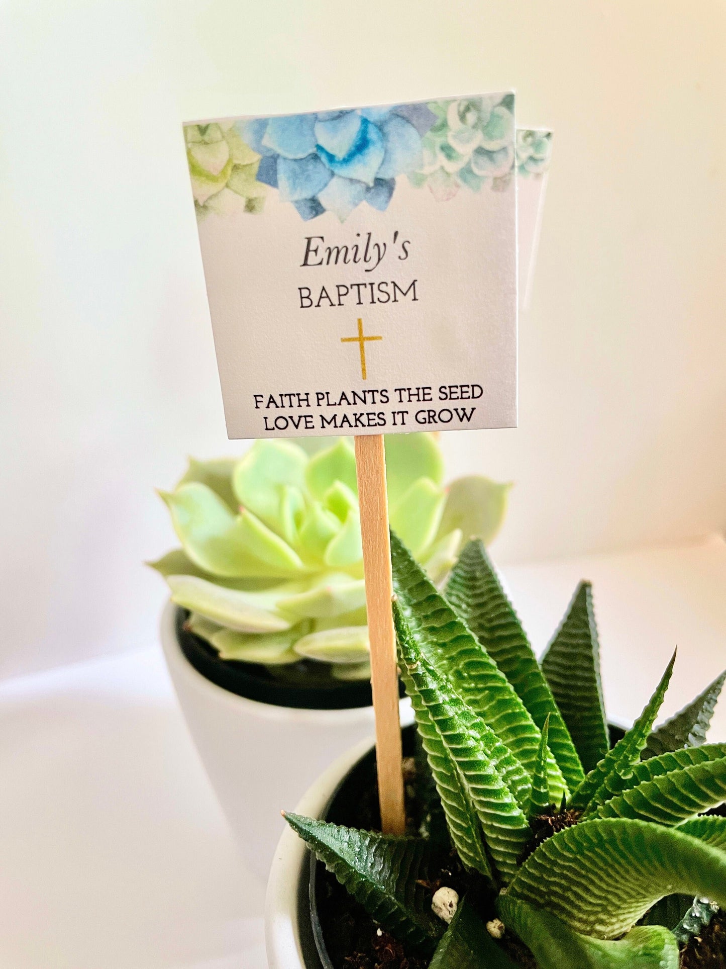 Baptism Mini Succulent with Plant Stick - Unique Party Favor for Baptisms and Special Events