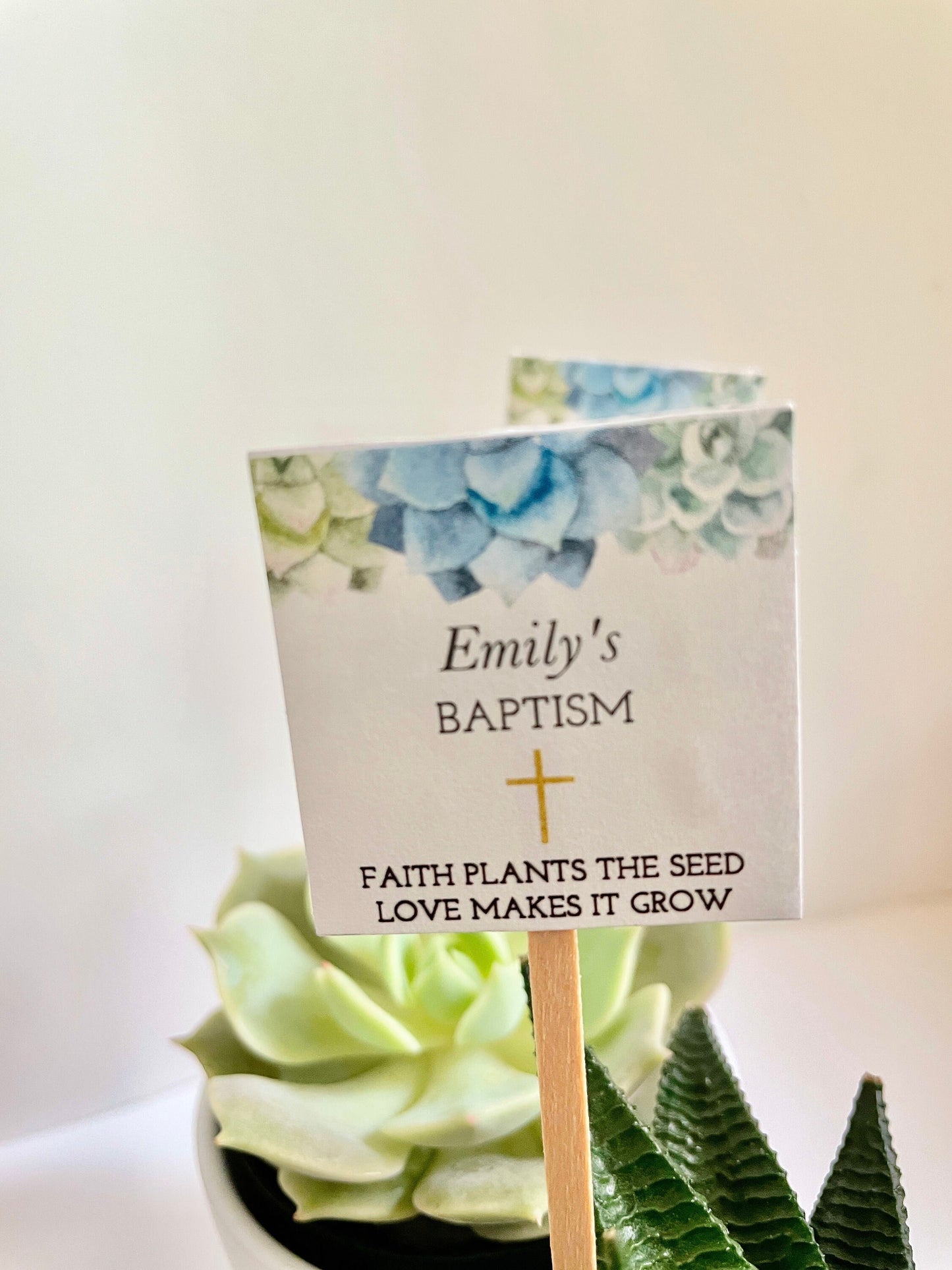 Baptism Mini Succulent with Plant Stick - Unique Party Favor for Baptisms and Special Events