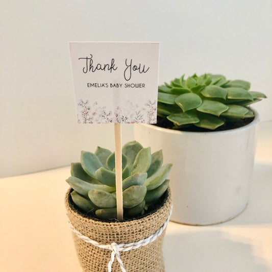 Succulent Plant Thank You Favor Stick - Express Gratitude with Style