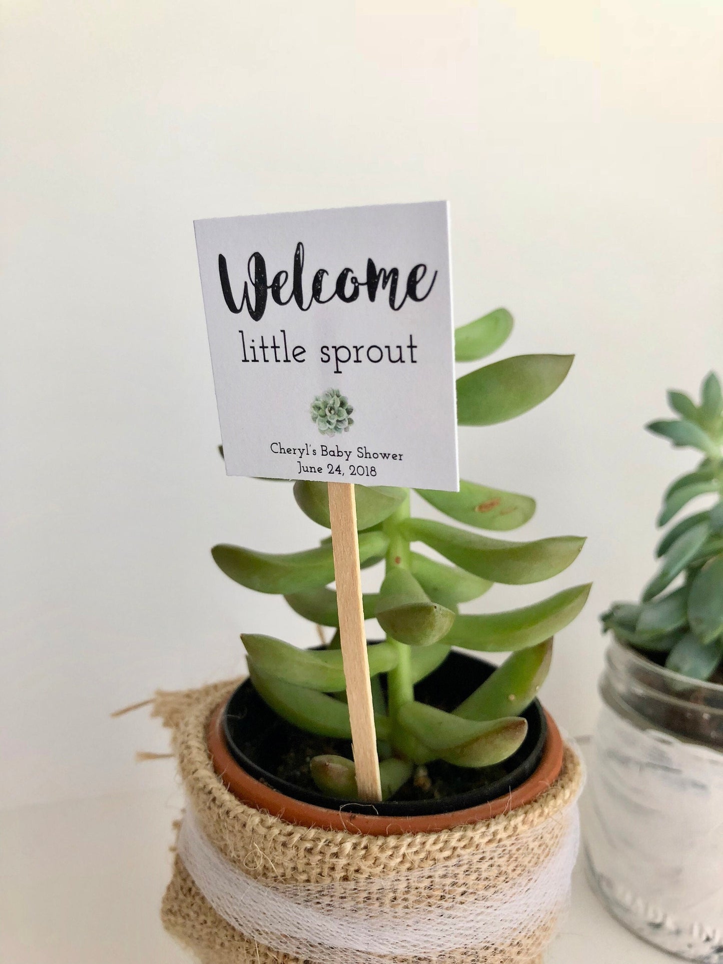 Customizable Plant Stick for Mini Succulents - Ideal Party Favor for Baby Showers, Bridal Showers, and Special Events