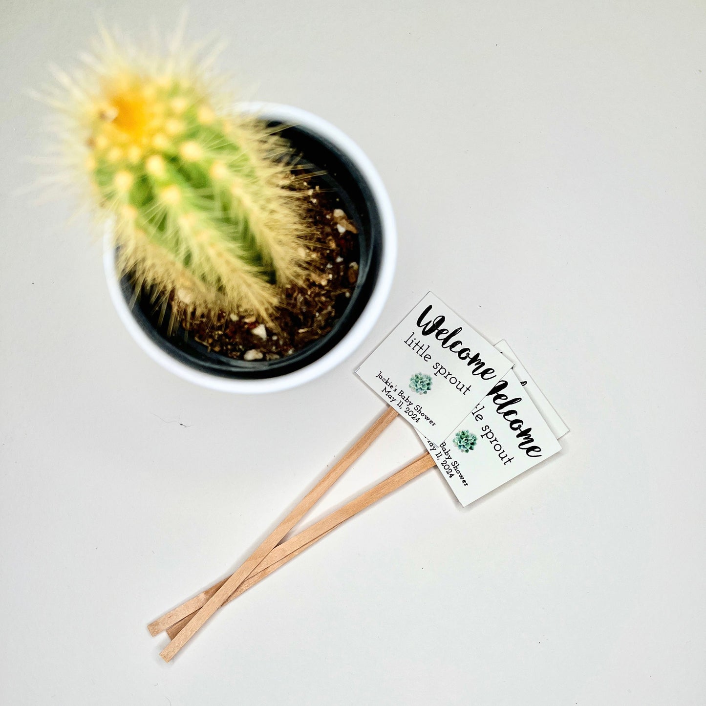 Customizable Plant Stick for Mini Succulents - Ideal Party Favor for Baby Showers, Bridal Showers, and Special Events