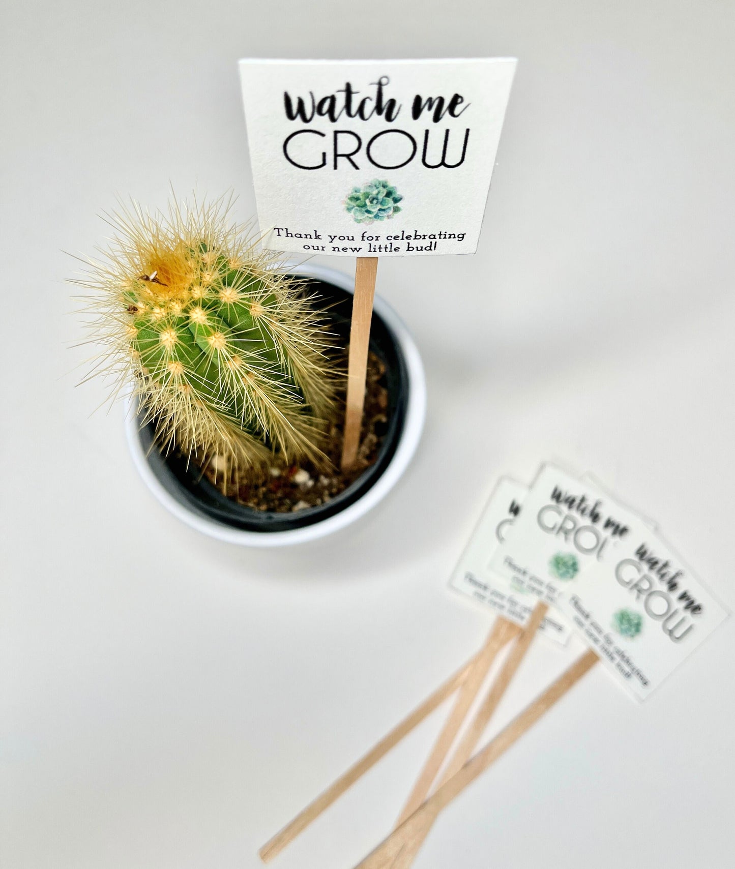 Baby Shower Favor Sticks for mini succulents - Personalized Succulent Favors