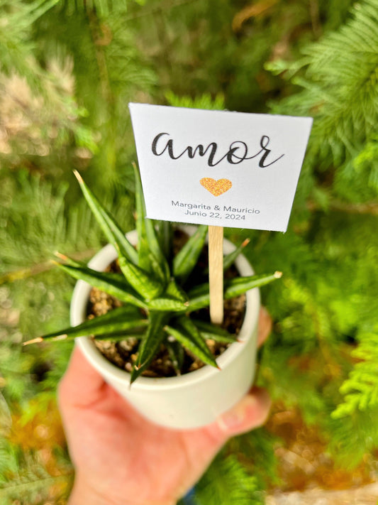 "Amor" Plant Favor Stick - Perfect for Mini Succulent Plants